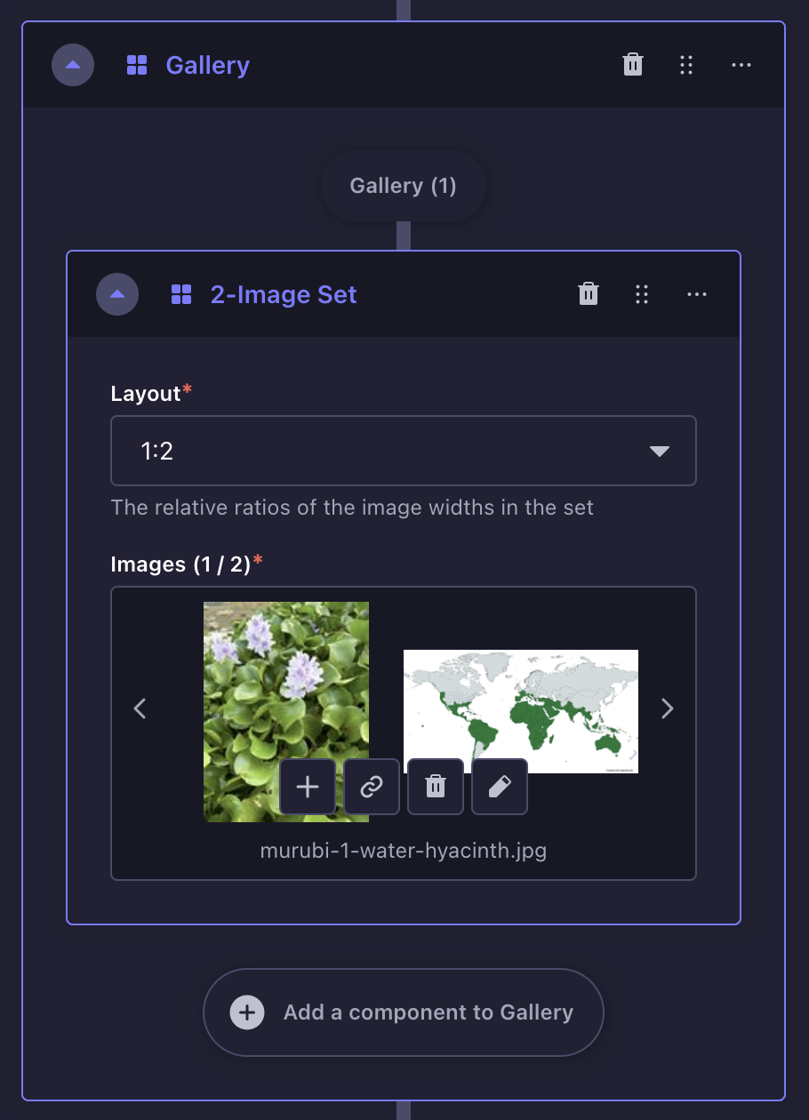 Gallery block on Strapi