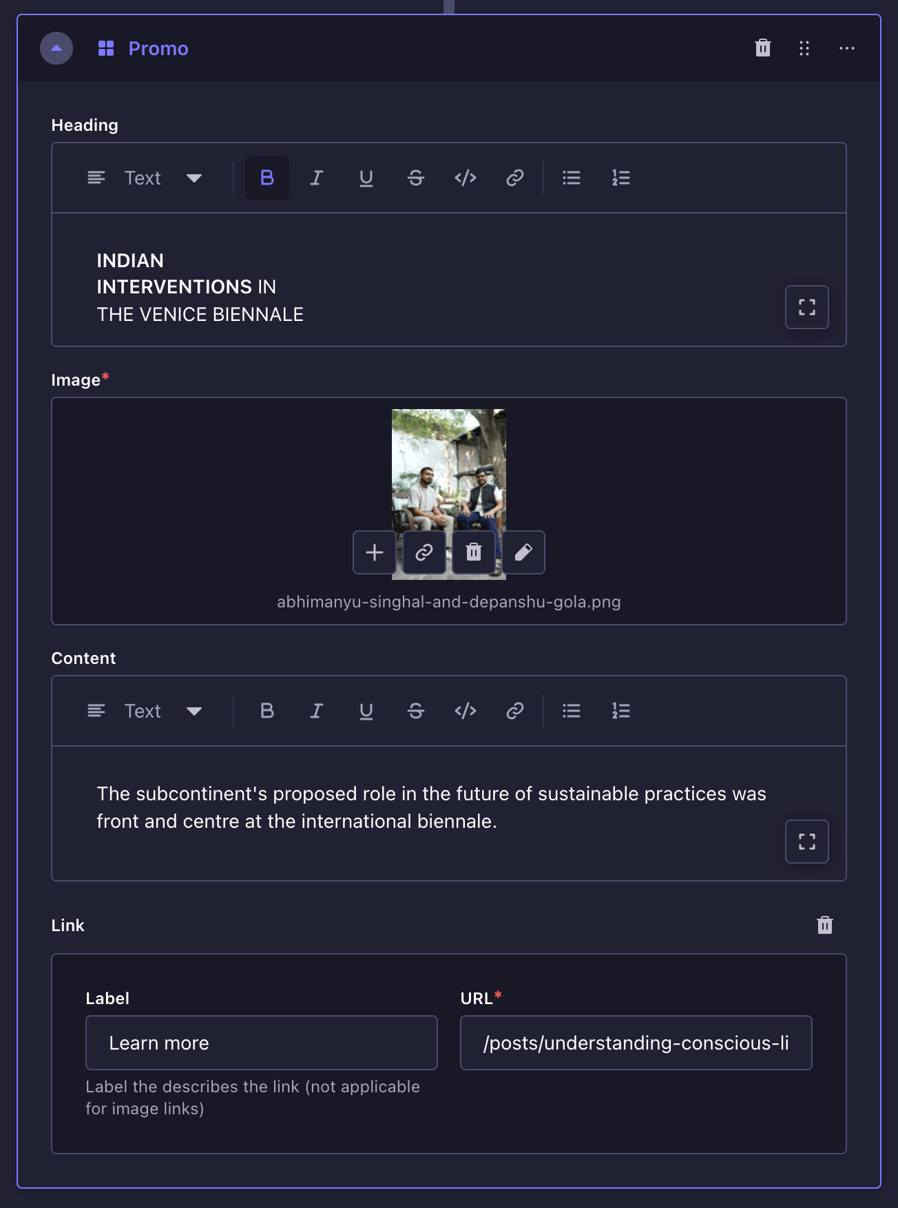 Promo block on Strapi